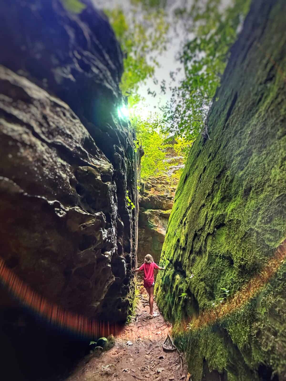 Exploring Ferne Clyff State Park with Kid - Southern Illinois - Big Rocky Hollow Trail