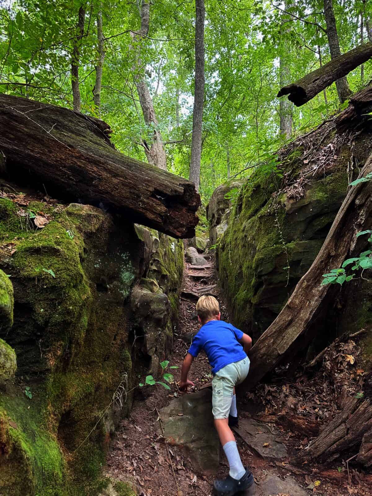 Giant City State Park - Illinois - Hiking with Kids - Nature Trail