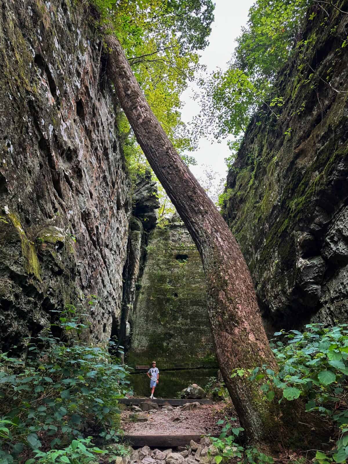 Giant City State Park - Illinois - Hiking with Kids - Nature Trail