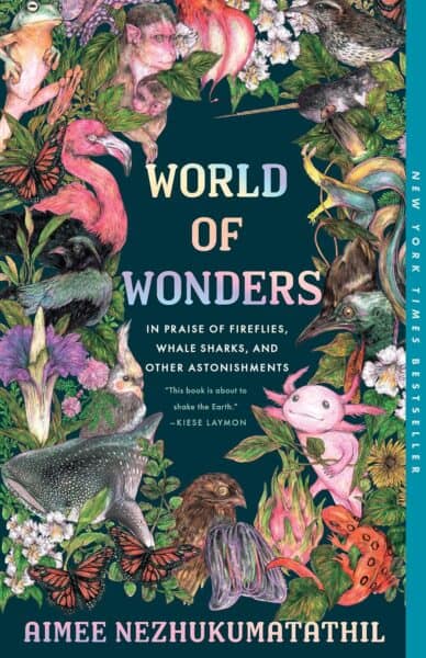 Parenting Outdoor Adventure Story Books - World of Wonders