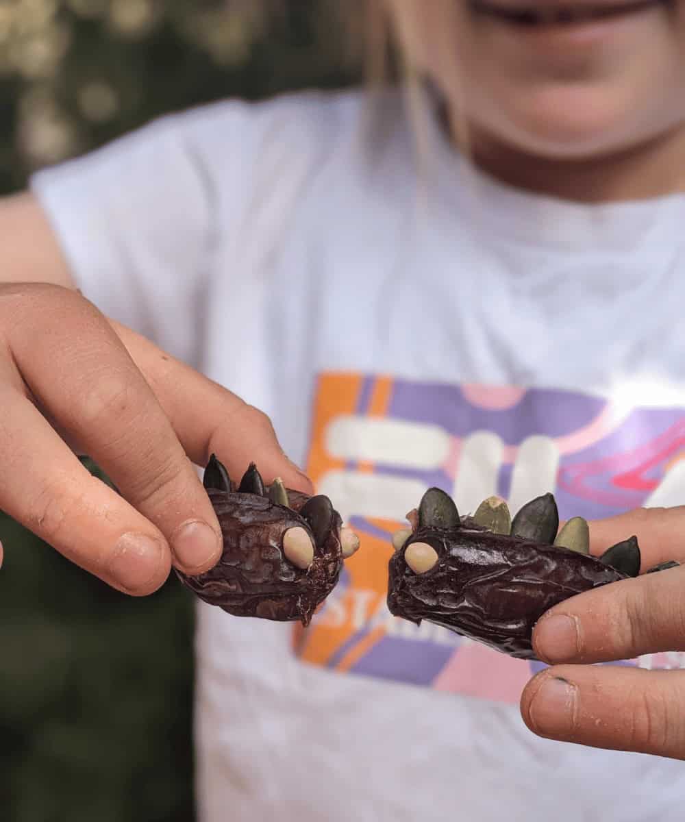 dinosaur dates - outdoor snack for kids