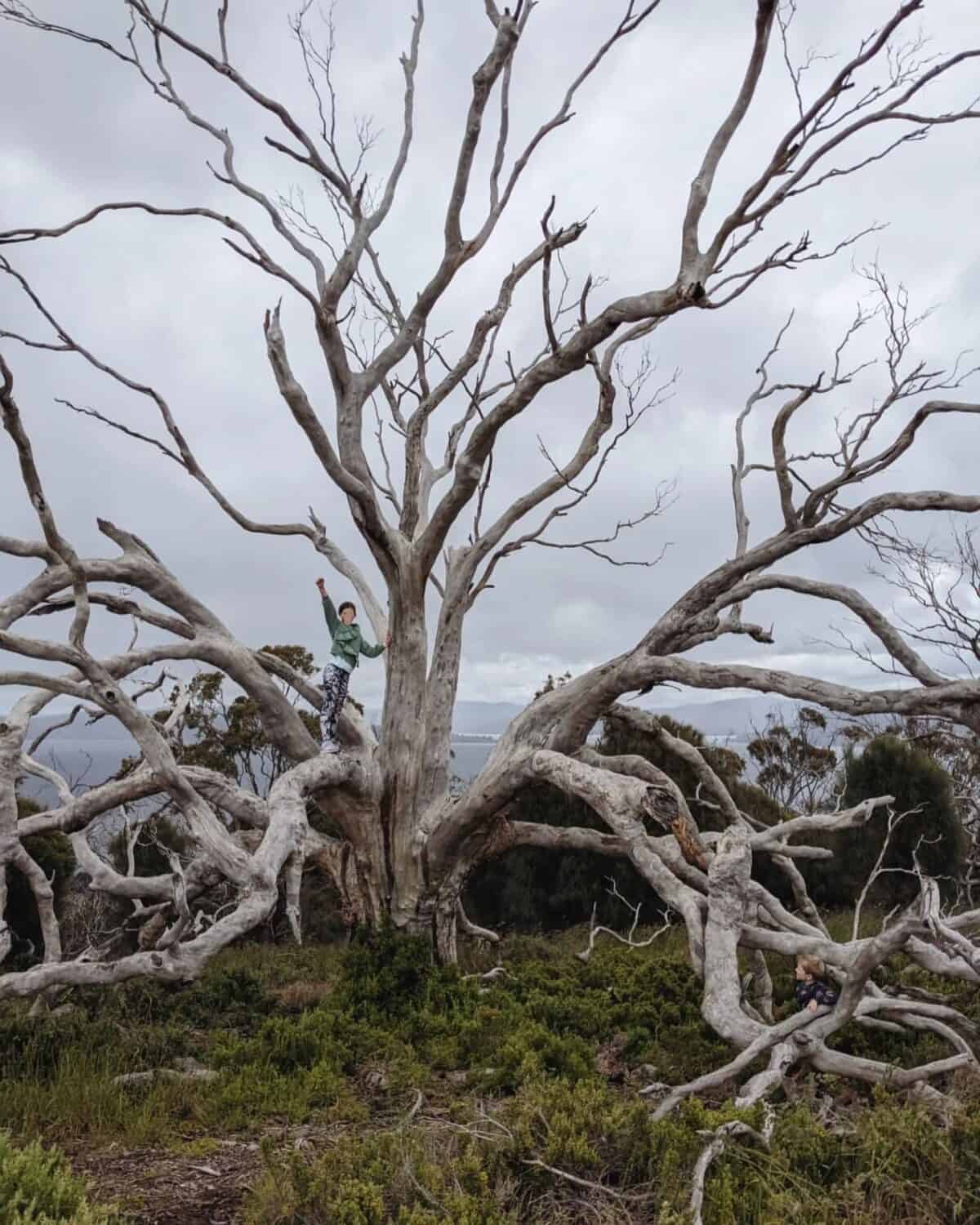 mindfulness while hiking with kids