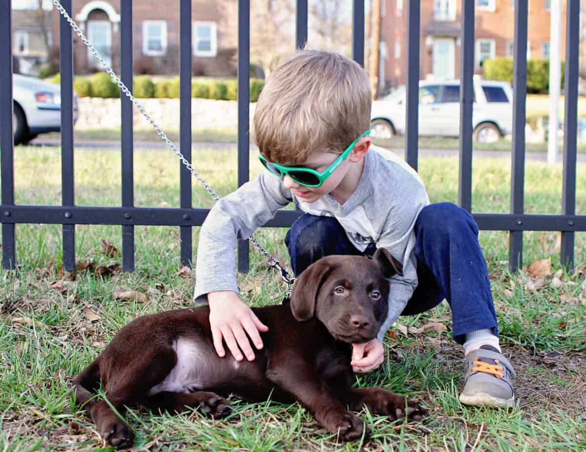 how to raise independent kids - little boy petting puppy