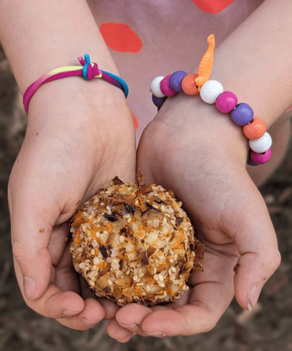 picnic sushi balls - outdoor snack for kids