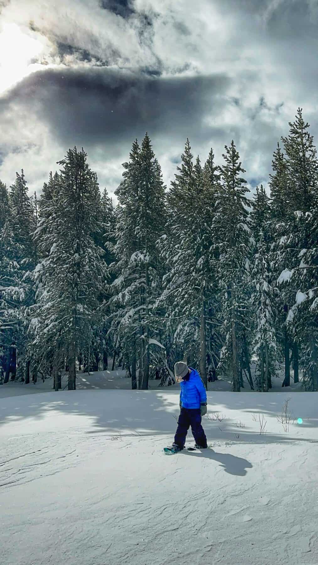 Winter Weekend Getaway - Lake Tahoe in the Winter with Kids