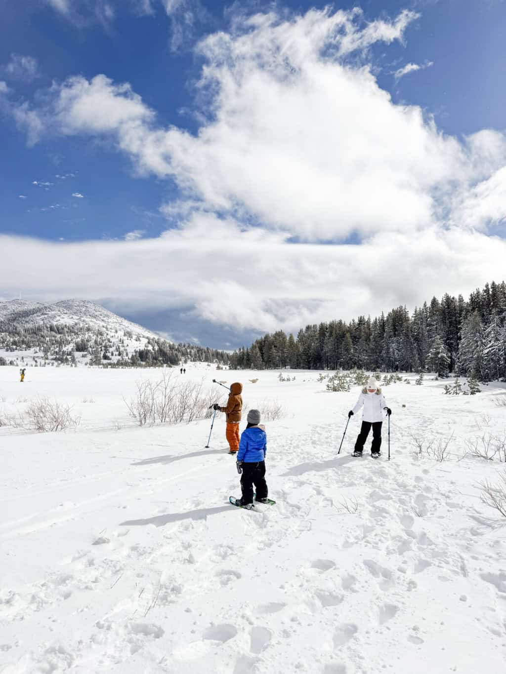 Snowshoeing - Chickadee Ridge - Lake Tahoe