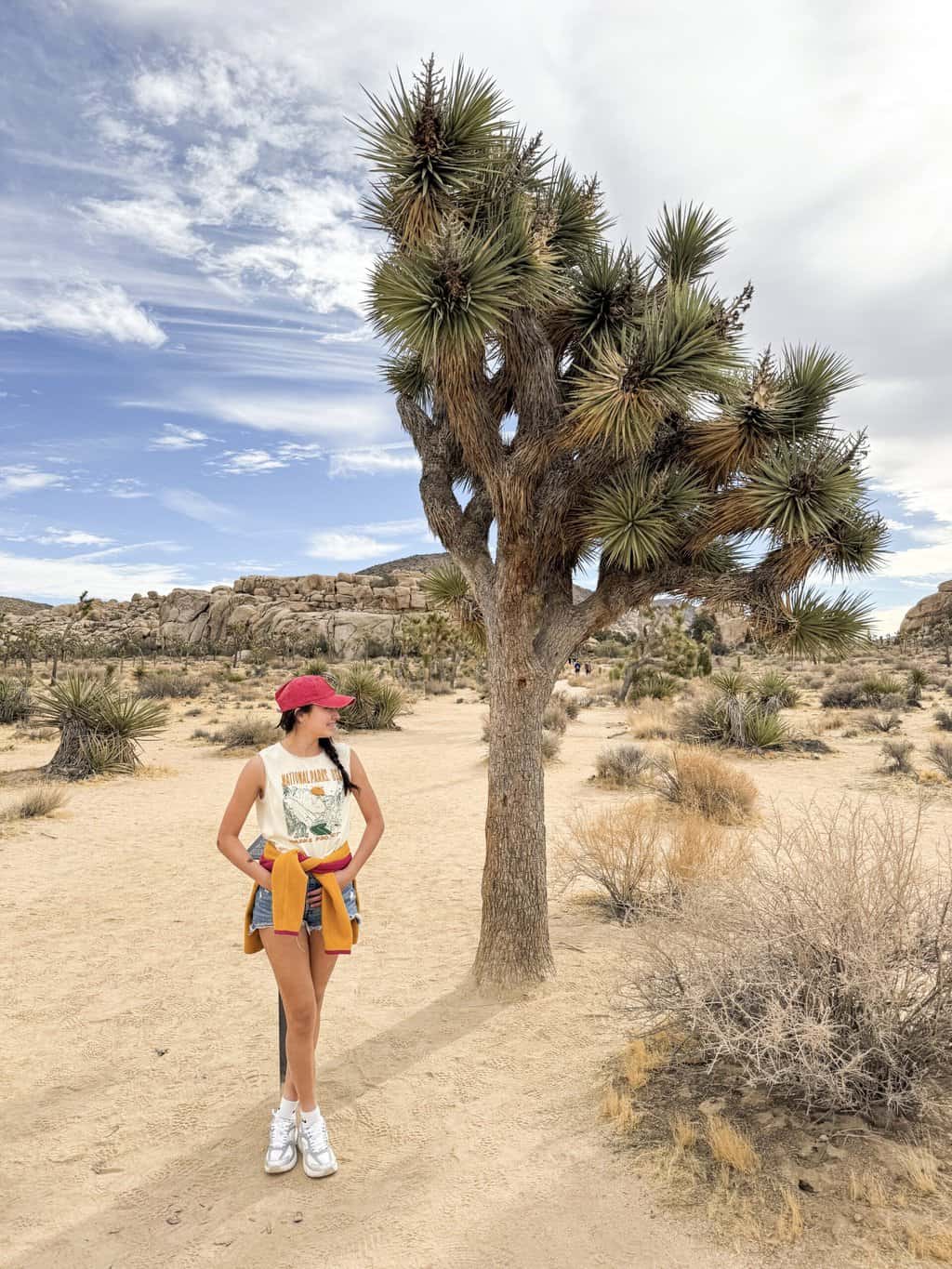 Exploring the Palm Springs Area with Kids (+ Joshua Tree NP)